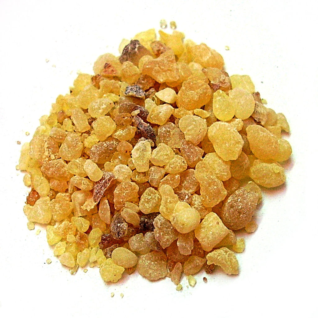 Boswellia serrata