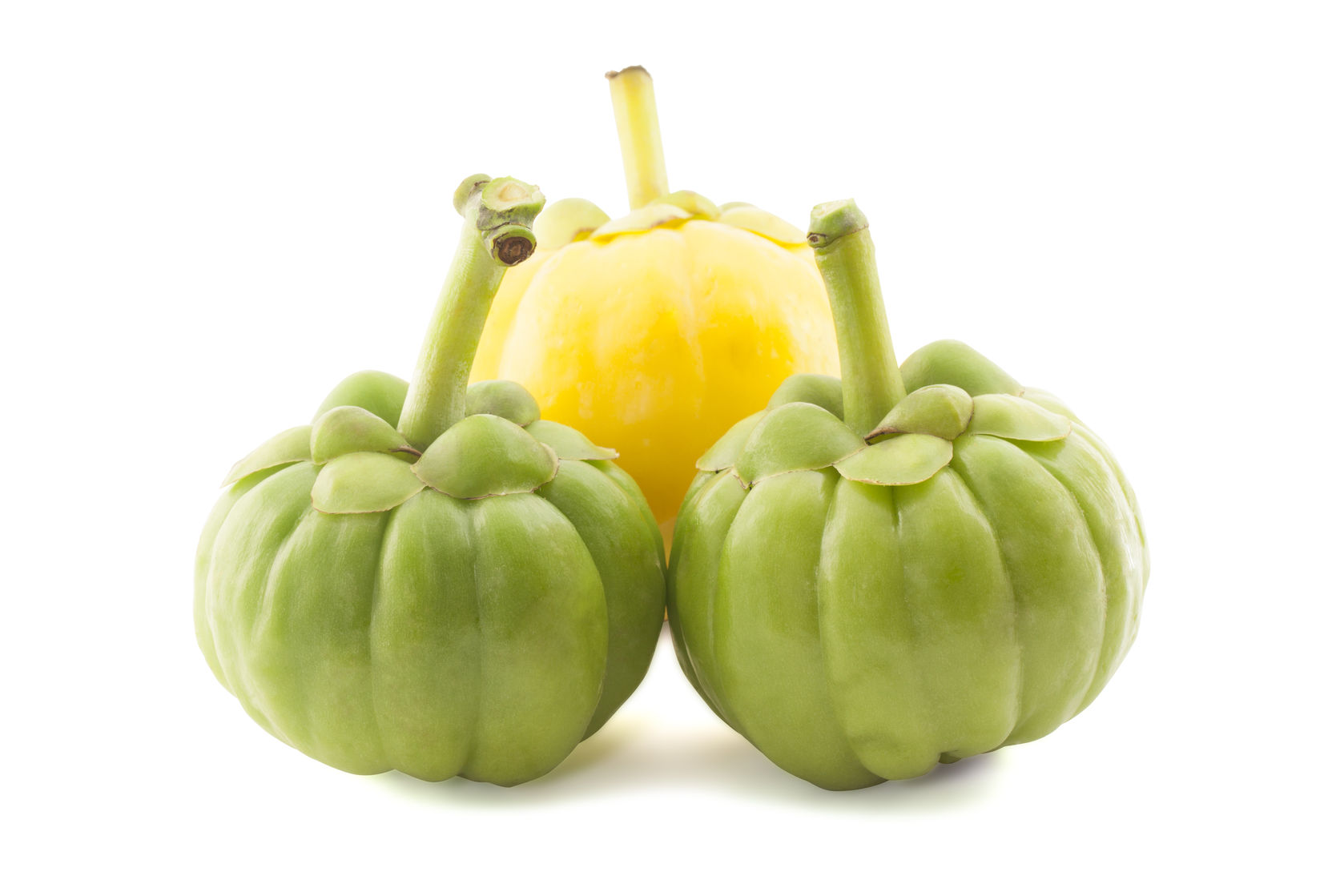 Garcinia cambogia