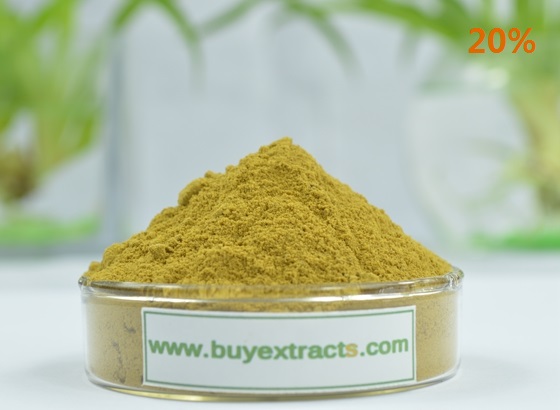 Olive Leaf Extract