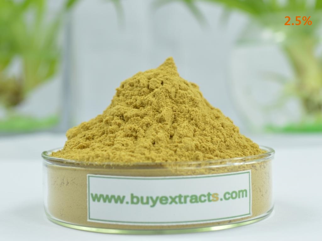 buy Black cdhosh extract