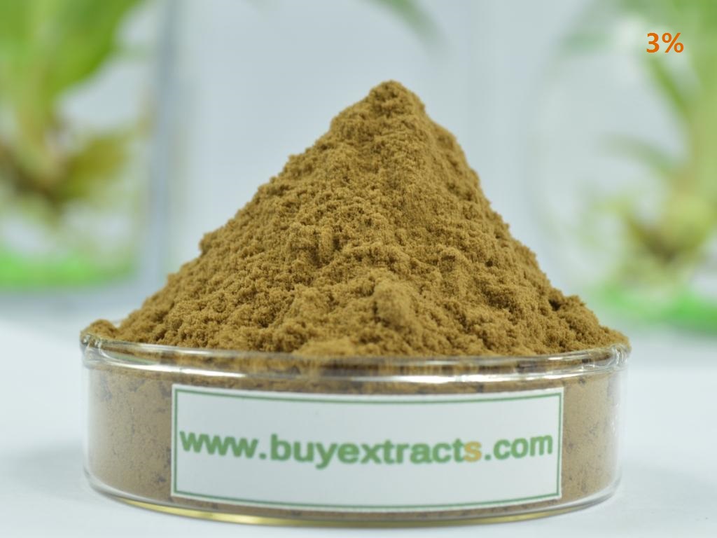 Rhodiola Extract