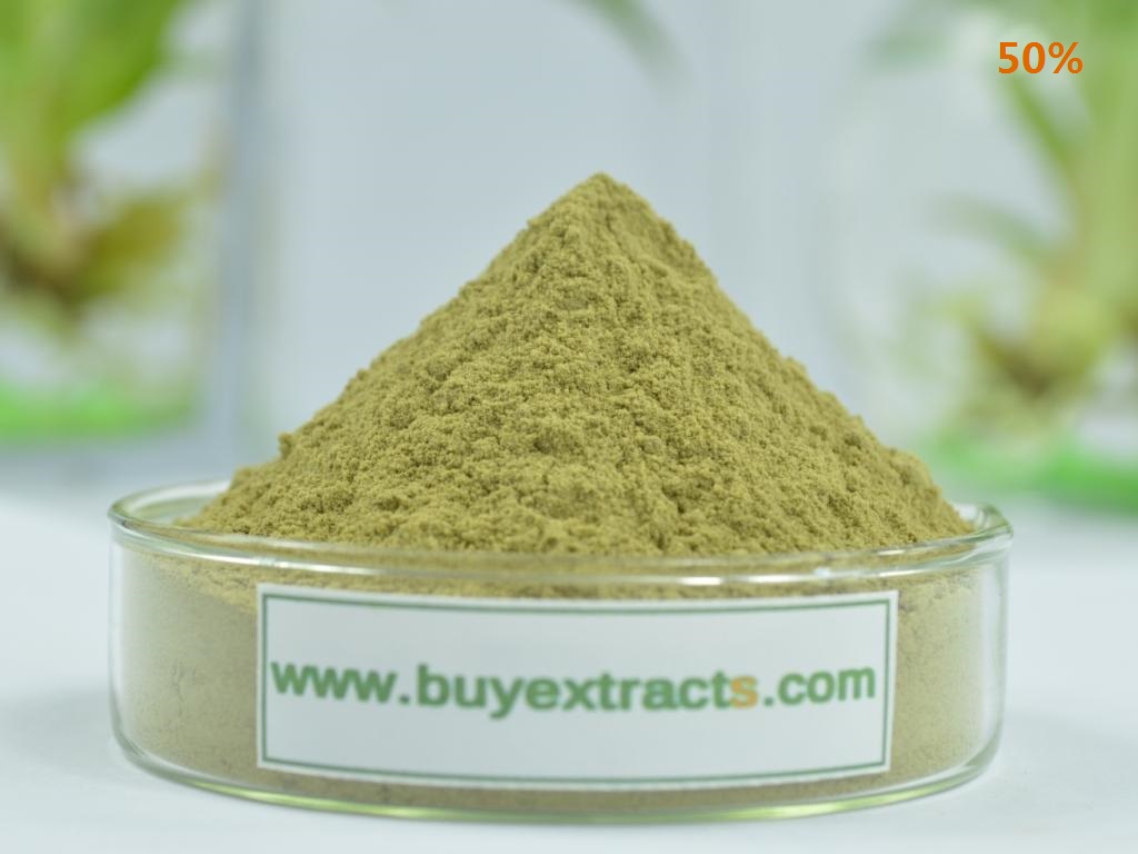 Green Coffee Bean Extract