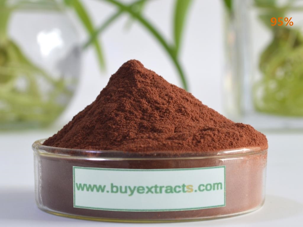 Pine bark extract