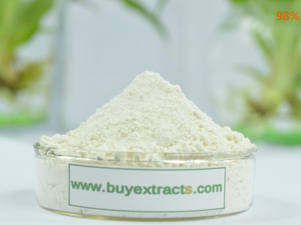 Buy plant extracts With high quality for health dietary supplements