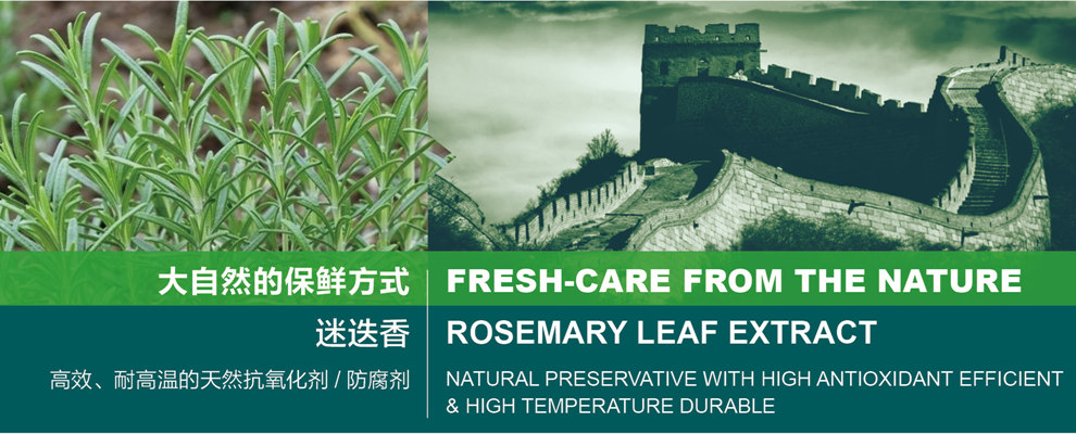 Rosemary extract