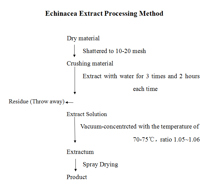 echinacea.extract