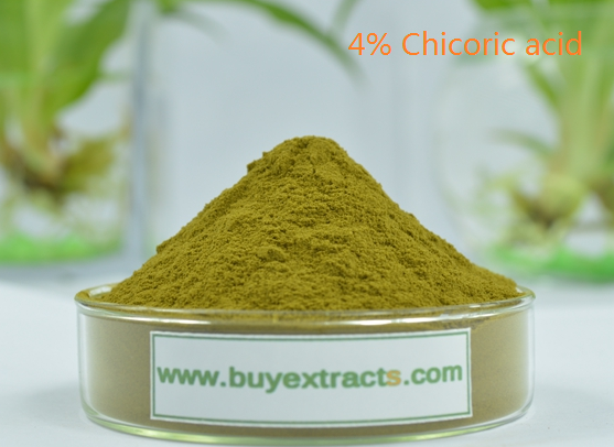 Echinacea extract 