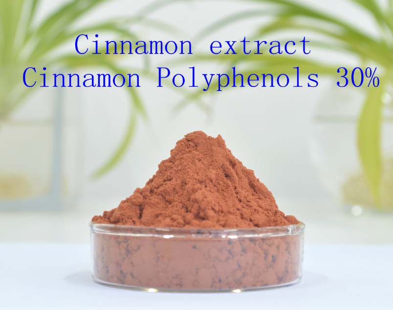 Cinnamon Extract