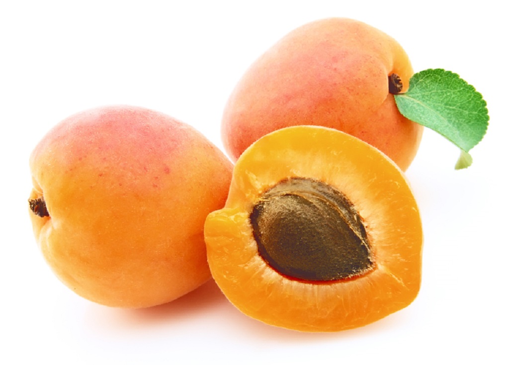 Apricot