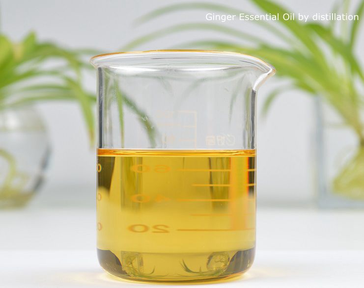 Ginger Essential Oil by distillation