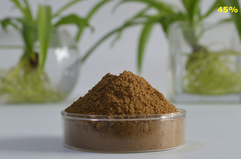 Tribulus Terrestris Extract 45%