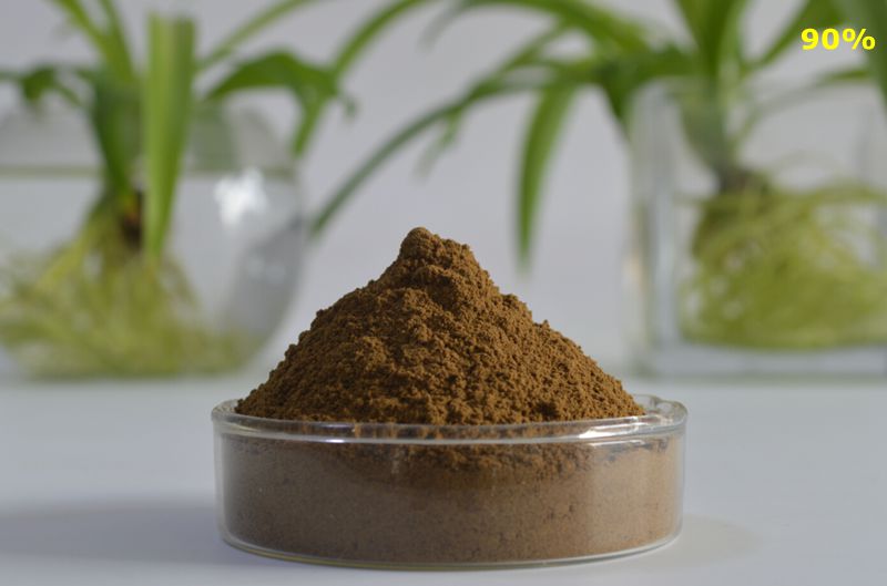 Tribulus Terrestris Extract 90%