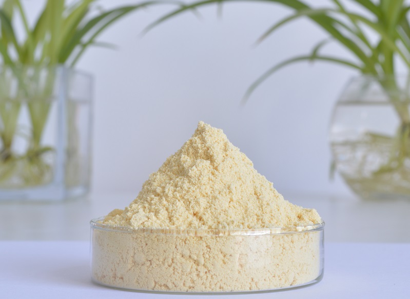 Ginger Extract Powder