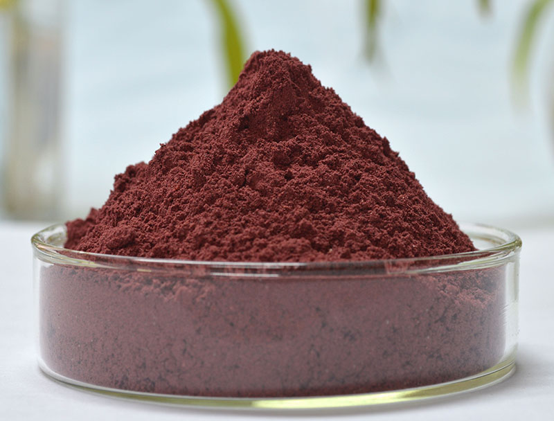 Red Yeast Rice Powder