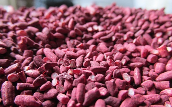 Red yeast rice 