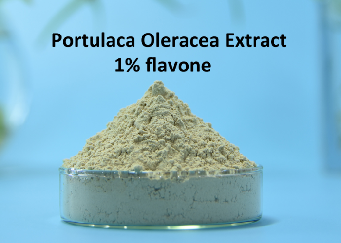 Portulaca Oleracea Extract