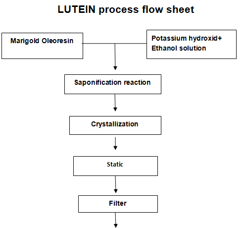 LUTEIN process flow sheet