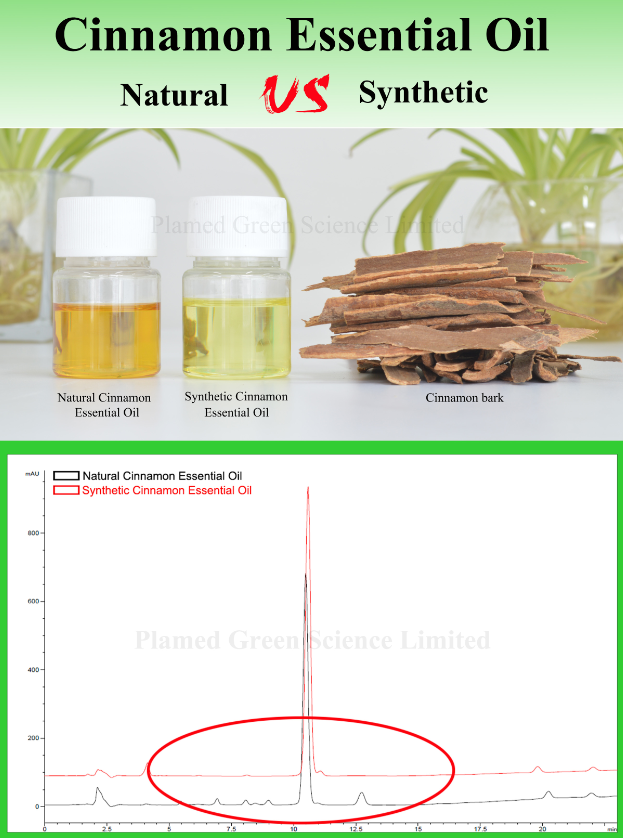  Synthetic and Natural Cinnamon Oil