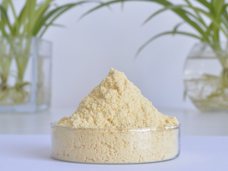 Water-soluble Ginger Powder
